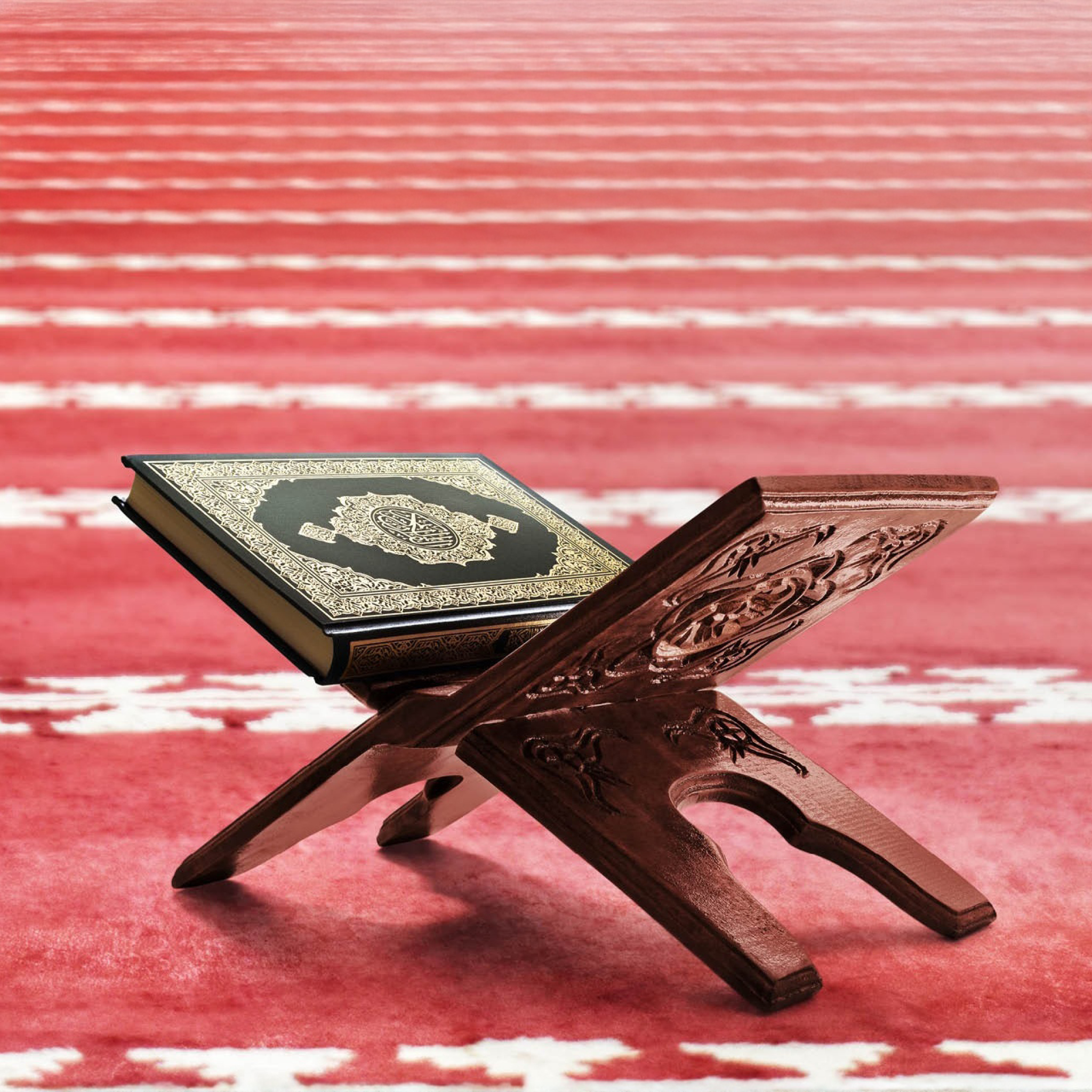الحلقات القرآنية