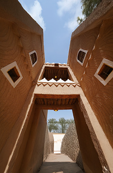 برامج المنح